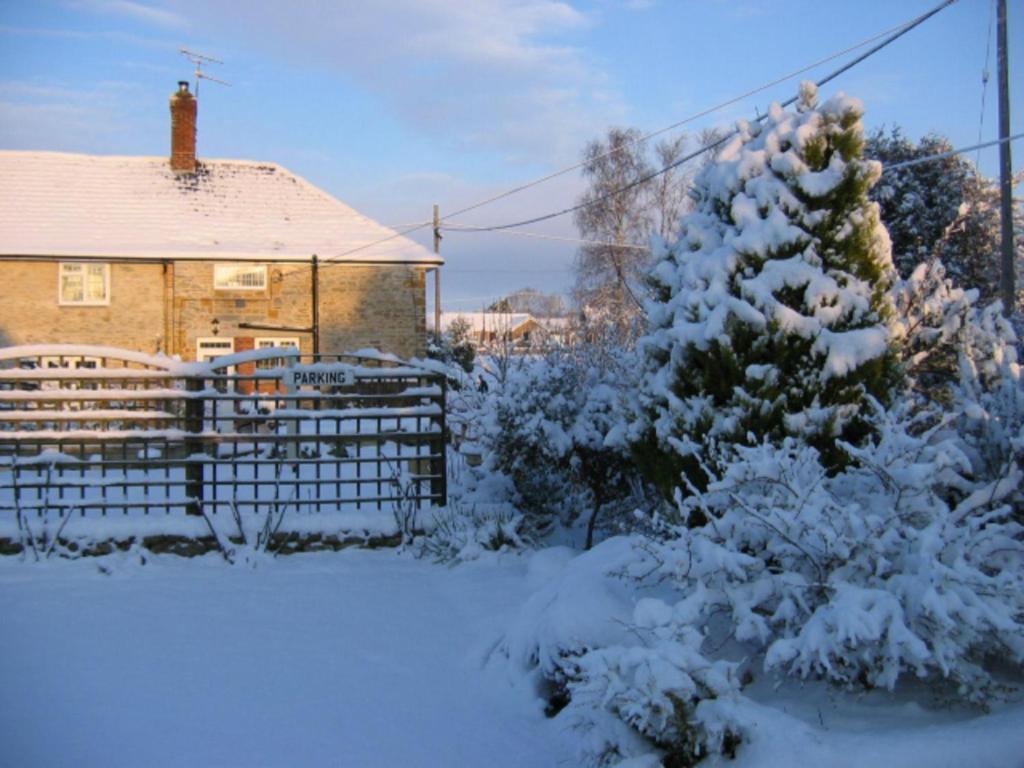 Quiet Woman House Bed & Breakfast Halstock Exterior foto